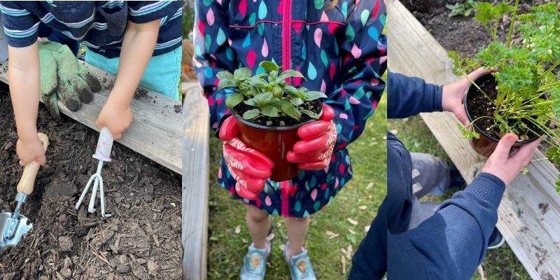 Three consecutive photos - a child digs in a dirt garden, a child holds a potted plant, and a child places a potted plant in a garden